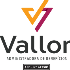 Logo Vallor